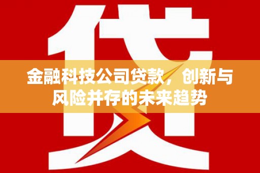 禹王台金融科技公司贷款，创新与风险并存的未来趋势