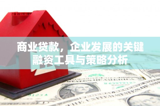 禹王台商业贷款，企业发展的关键融资工具与策略分析