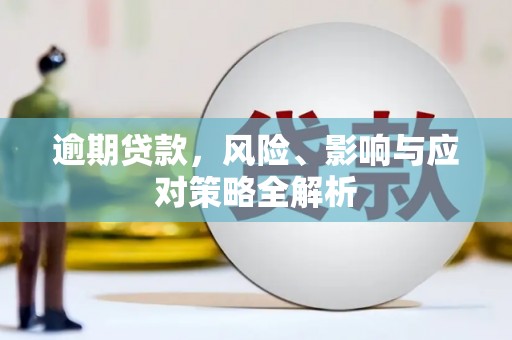 禹王台逾期贷款，风险、影响与应对策略全解析