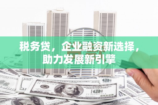 禹王台税务贷，企业融资新选择，助力发展新引擎