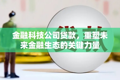 禹王台金融科技公司贷款，重塑未来金融生态的关键力量