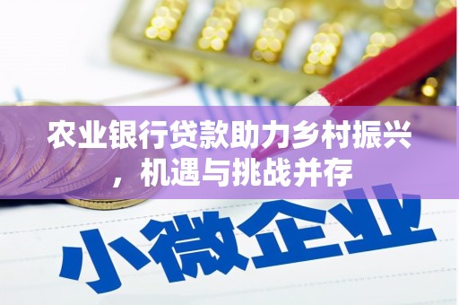 禹王台农业银行贷款助力乡村振兴，机遇与挑战并存