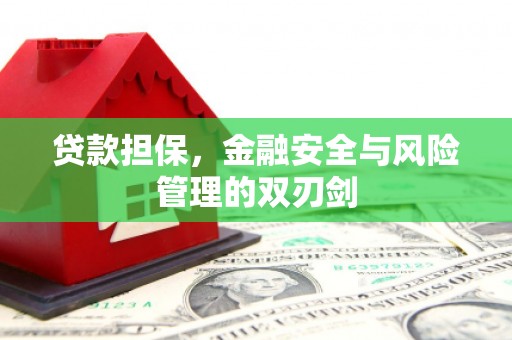禹王台贷款担保，金融安全与风险管理的双刃剑