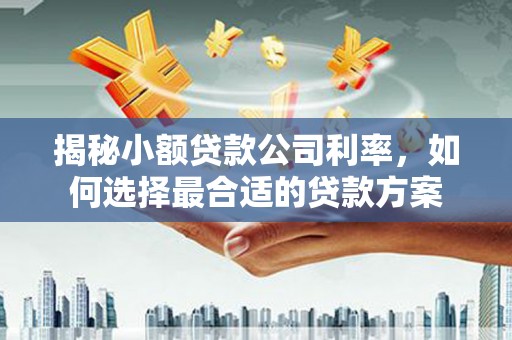 禹王台揭秘小额贷款公司利率，如何选择最合适的贷款方案