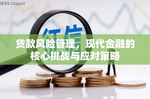禹王台贷款风险管理，现代金融的核心挑战与应对策略
