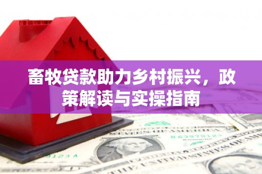 禹王台畜牧贷款助力乡村振兴，政策解读与实操指南